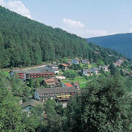 Hotel Waldlust Байерсброн Екстериор снимка