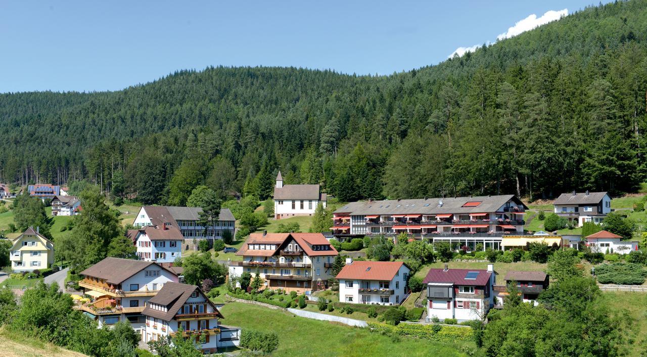 Hotel Waldlust Байерсброн Екстериор снимка